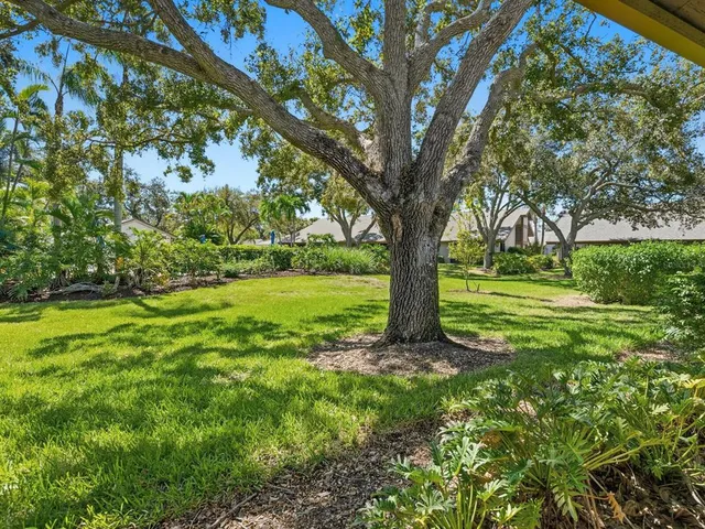 a view of a yard with a tree