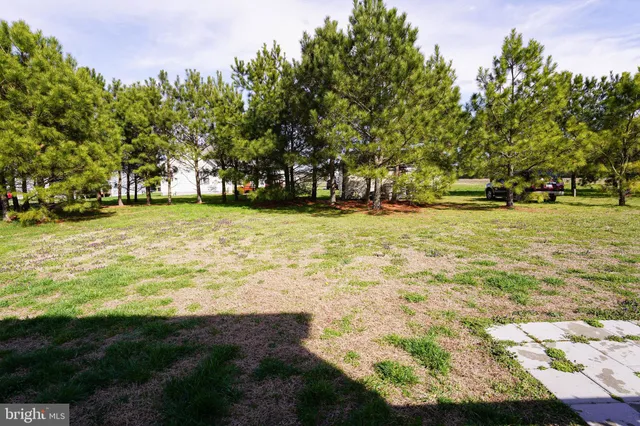 a view of a field with an trees