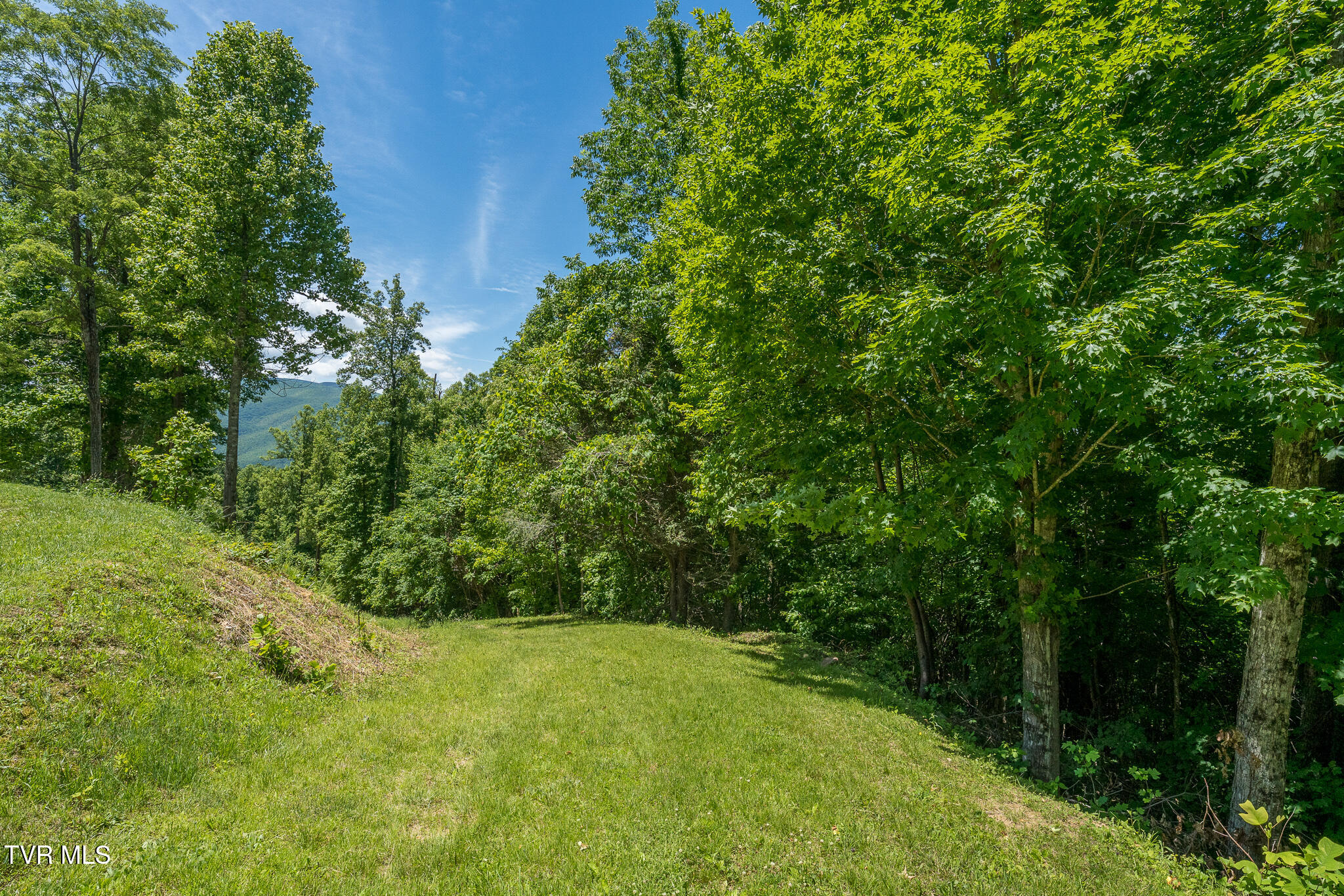 4 Ridgetop Lane, Unit 4 Unicoi, TN 37692 - Photo 7 of 15 Lot 4 Ridgetop Ln (29 of 34)