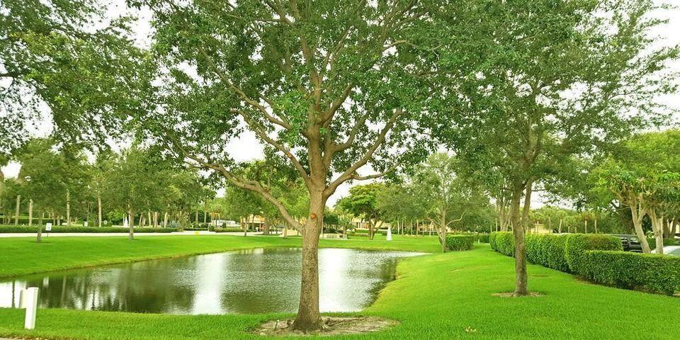 5700 Camino Del Sol, Unit 201 Boca Raton, FL 33433 - Photo 16 of 17 a view of a park with trees and a lake