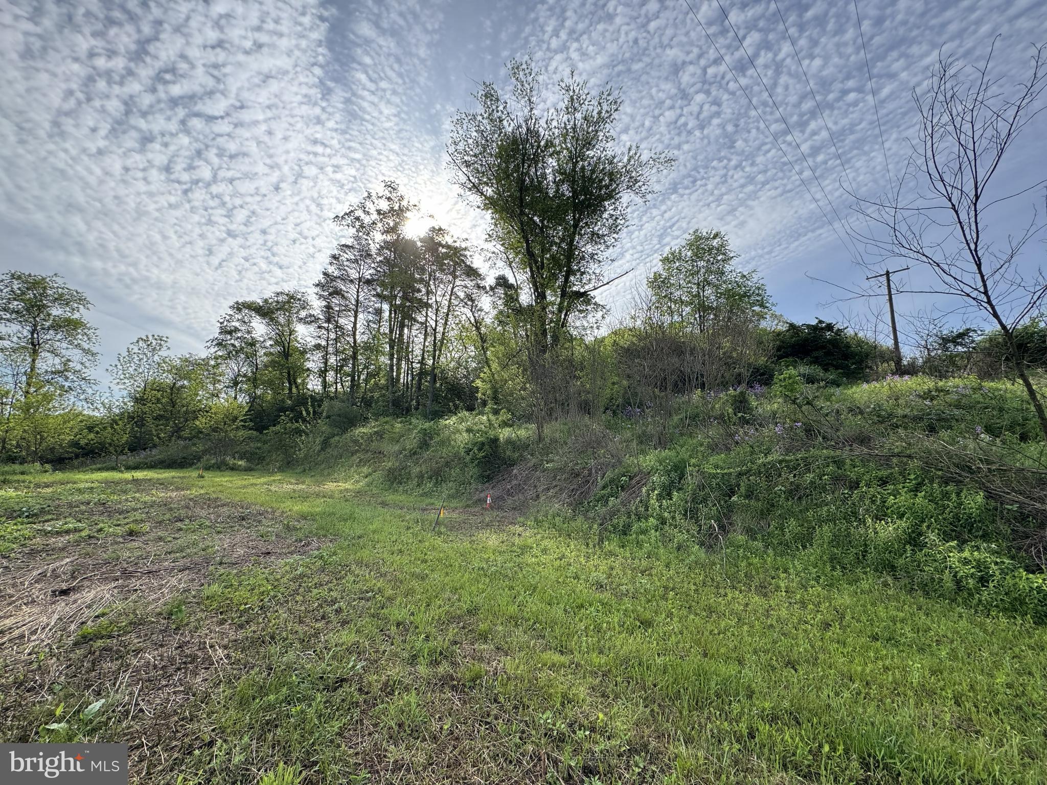 2781 Buffalo Run Road Bellefonte, PA 16823 - Photo 5 of 17 a view of outdoor space and yard