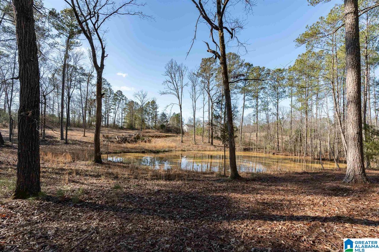 510 Cobb Road Oxford, AL 36203 - Photo 7 of 17