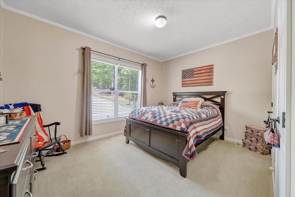 59 Camp Road Moneta, VA 24121 - Photo 20 of 46 Entry Level Bedroom