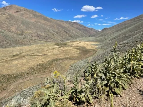 $197,500 | 606 Rosewood Drive, Bellevue, ID 83313