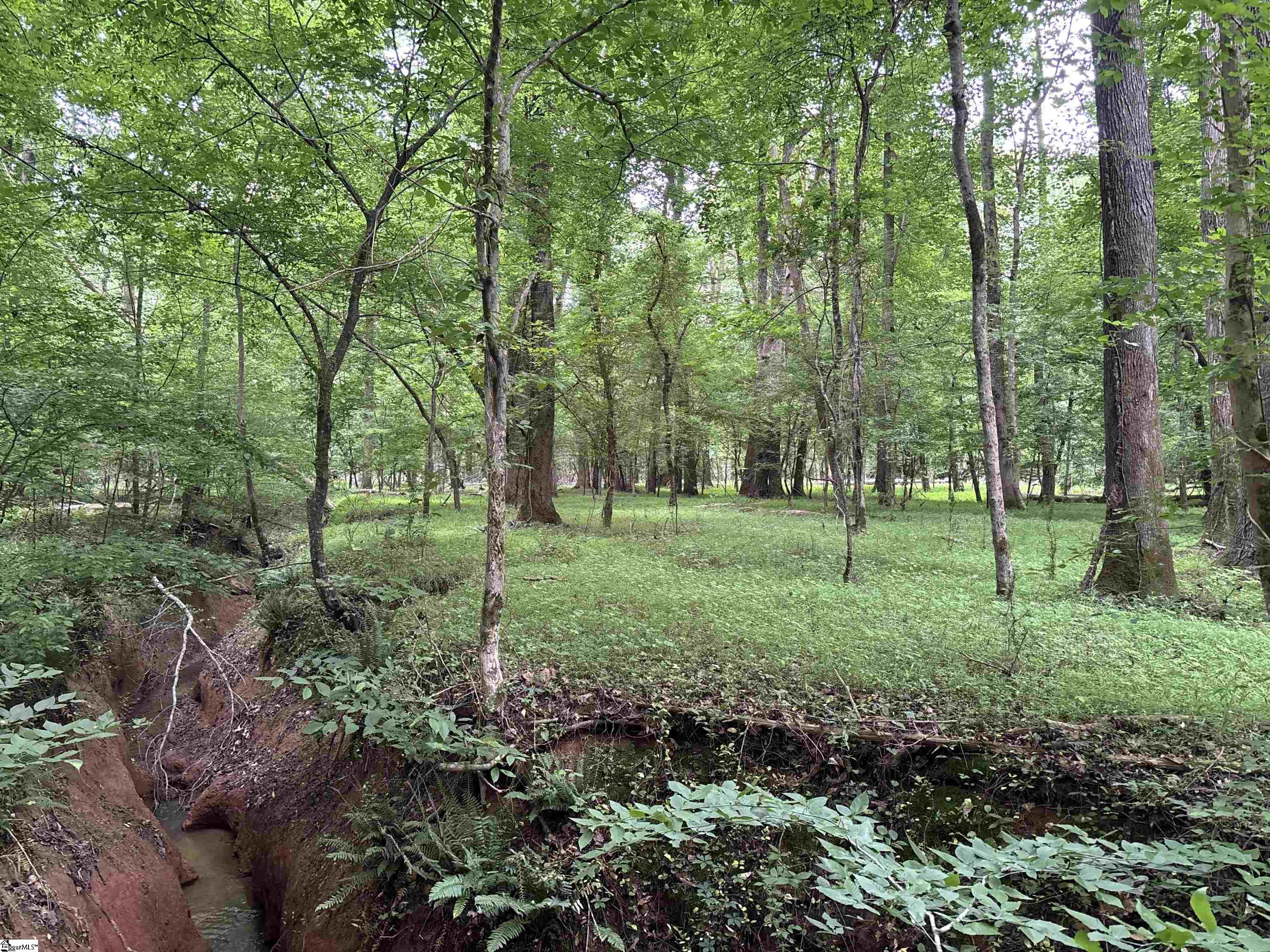 1087 Bobby Faucette Road Jonesville, SC 29353 - Photo 20 of 47