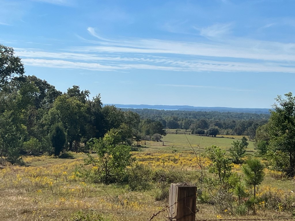 327 Deer Point Road Georgetown, GA 39854 - Photo 7 of 10