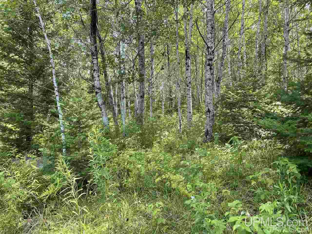 Tbd Off Nowack Road, Unit 1 Powers, MI 49874 - Photo 15 of 32