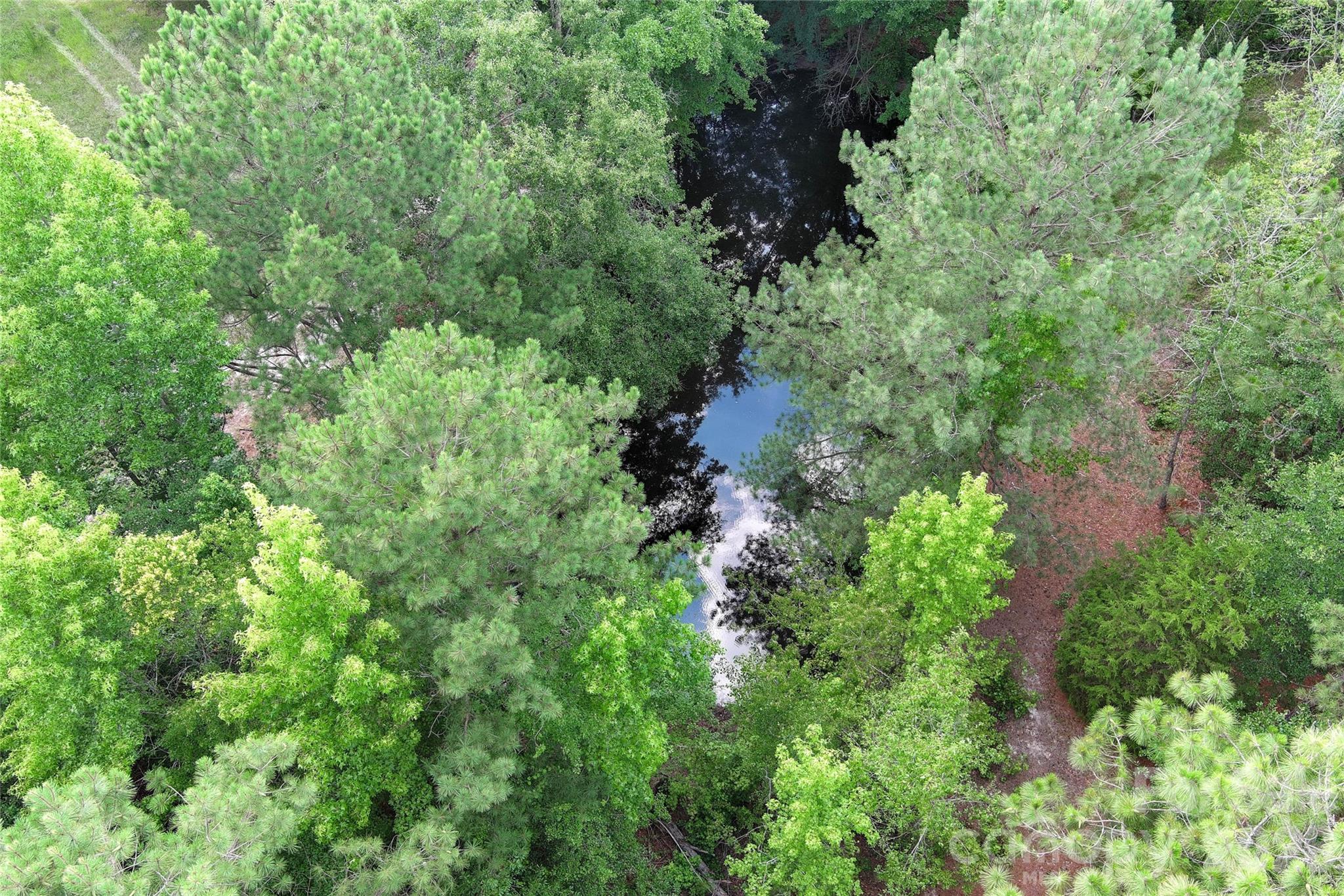 809 Campbell Road Jefferson, SC 29718 - Photo 23 of 26