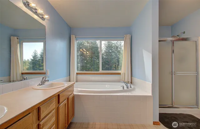 a bathroom with a tub a sink and a window