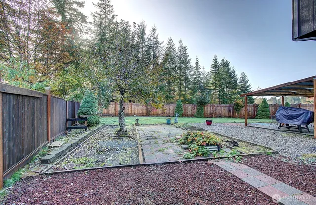 a view of a backyard with a trees