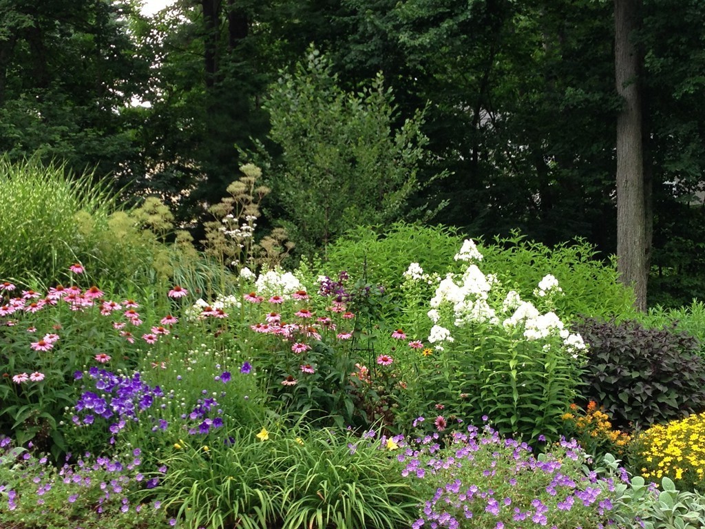 54 Ruddock Road Sudbury, MA 01776 - Photo 26 of 30 Gallery Image 26