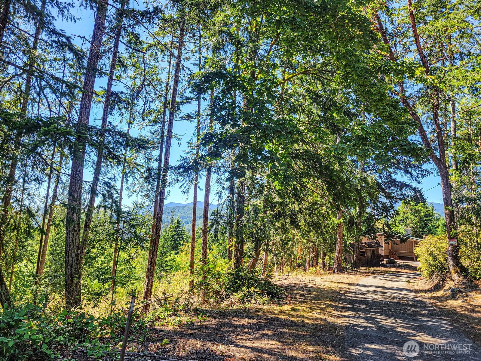 201 Mt Jupiter Road Brinnon, WA 98320 - Photo 7 of 23 Gallery Image 7