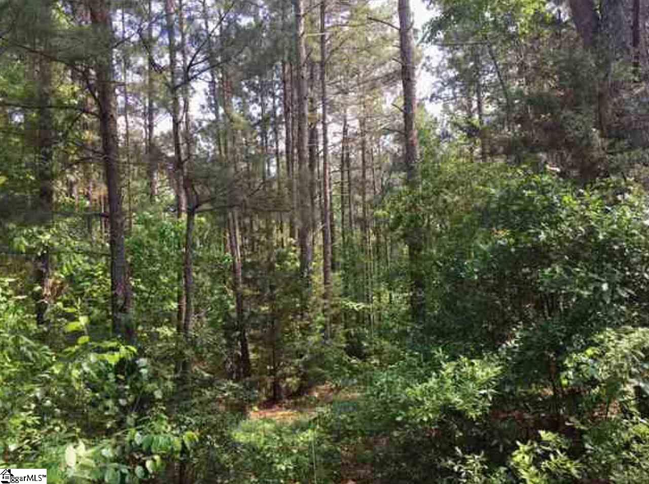Sanders Road Central, SC 29630 - Photo 2 of 7