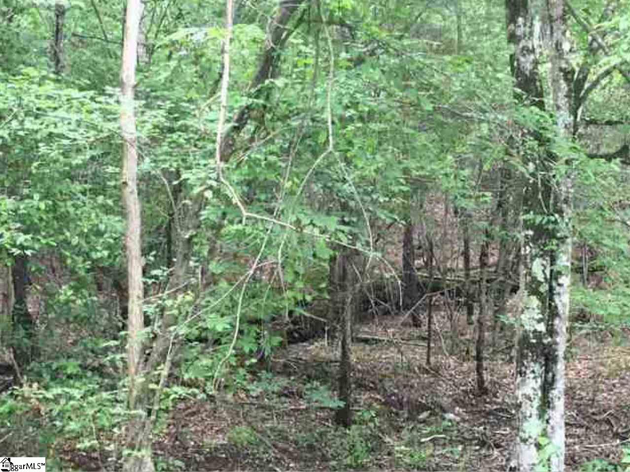 Sanders Road Central, SC 29630 - Photo 5 of 7