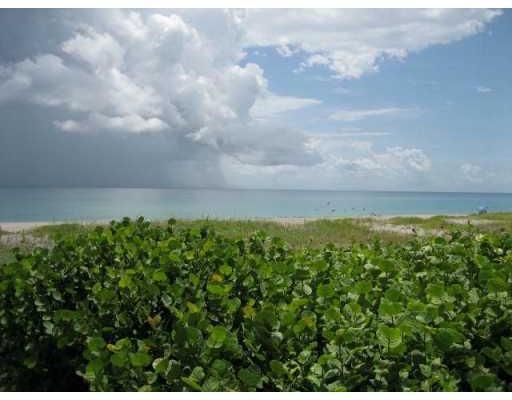924 Bermuda Gardens Road Delray Beach, FL 33483 - Photo 14 of 16 Additional Photo