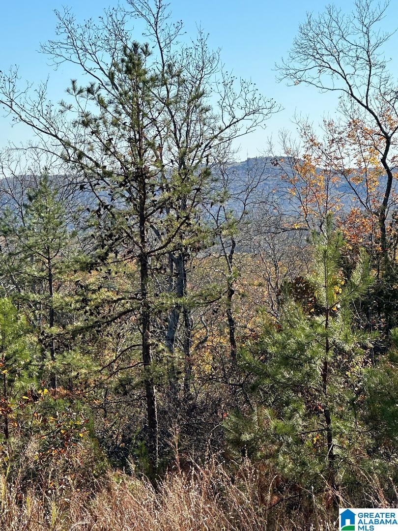 1000 Trails End Road, Unit 1 Leeds, AL 35094 - Photo 6 of 7 Gallery Image 6