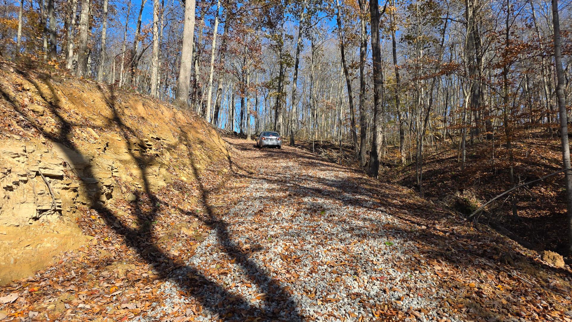 680 Nibert Road, Unit PONDS POPLAR RIDGE TRACT 10) Gallipolis, OH 45631 - Photo 11 of 46 CT-11