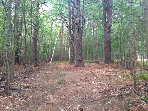 0 Poor Farm Road Harvard, MA 01451 - Photo 2 of 4 a backyard of a house with lots of green space