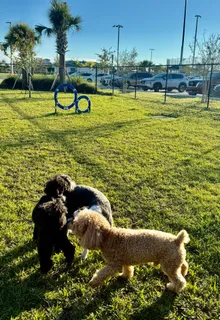 $989,000 | 11991 Southwest Whitewater Falls Court, Port St. Lucie, FL 34987