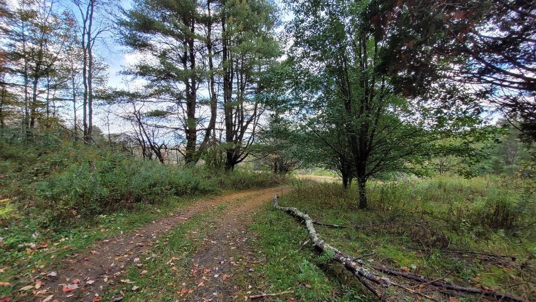 765 Kilroy Road Oxford, NY 13830 - Photo 1 of 1 Gallery Image 1