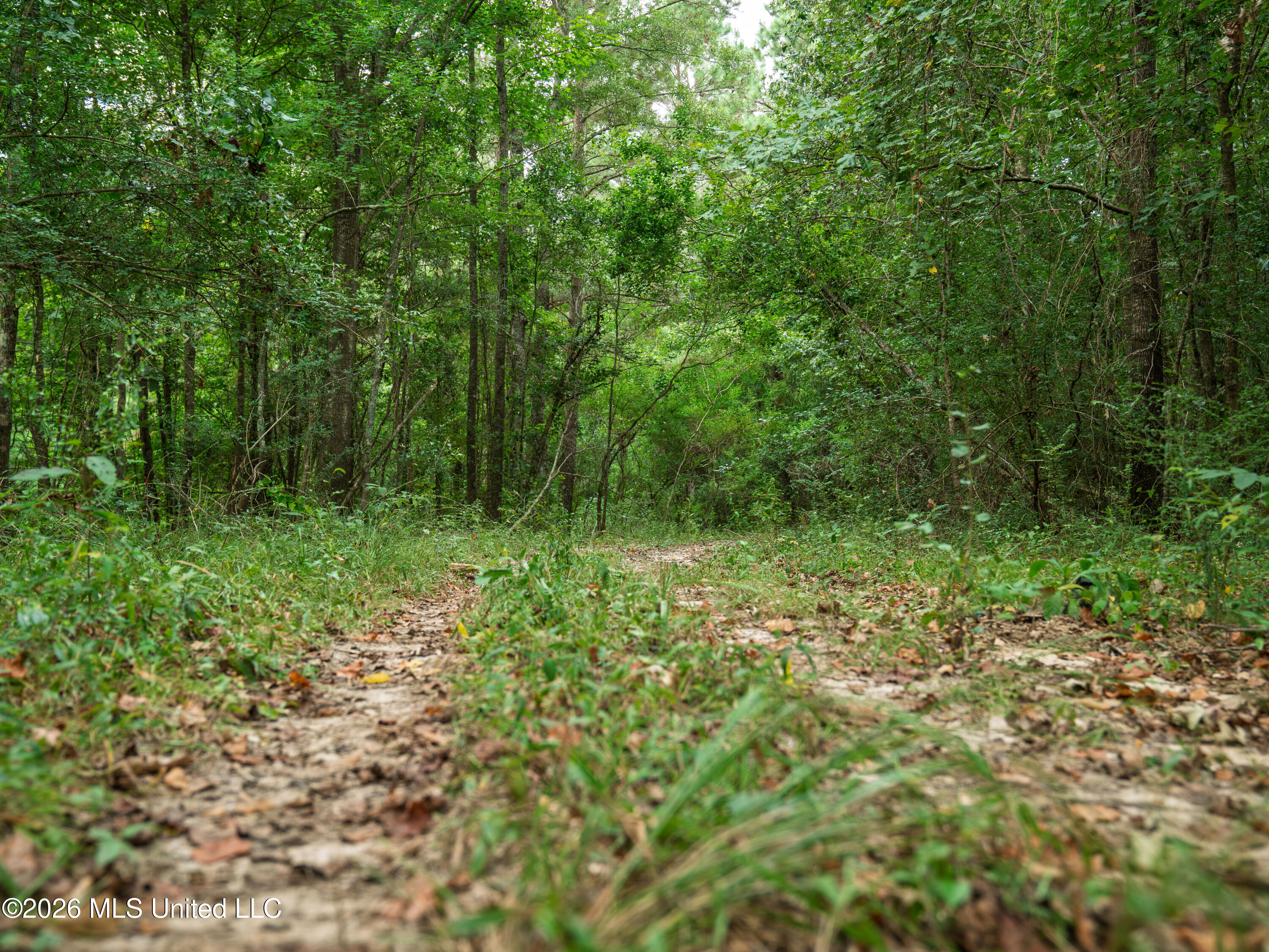 Spring Street Taylorsville, MS 39168 - Photo 11 of 57 A7404267