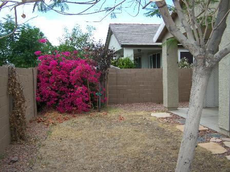 14779 West Bloomfield Road Surprise, AZ 85379 - Photo 15 of 15 back