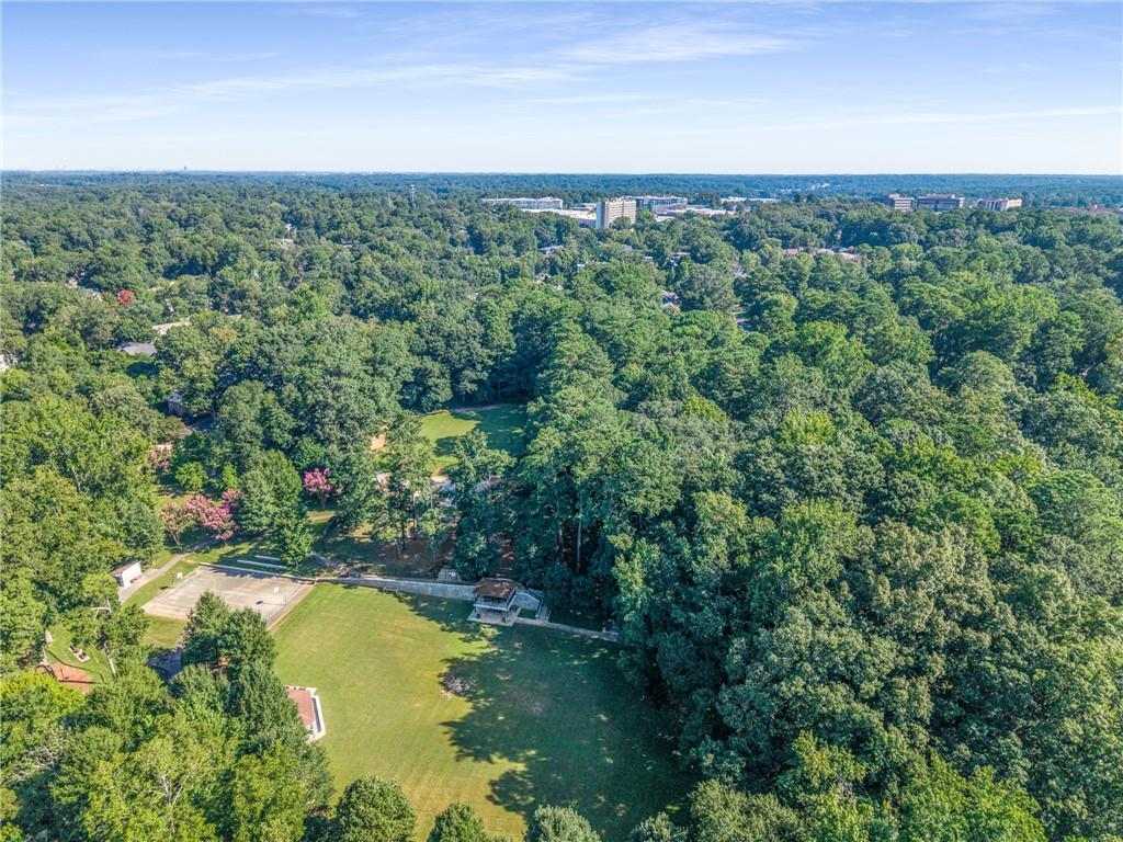 114 Knob Hills Circle Decatur, GA 30030 - Photo 47 of 56