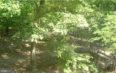 79 Animikean Ridge Hedgesville, WV 25427 - Photo 19 of 19 View