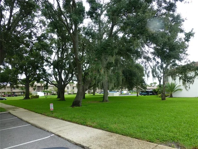 a huge green field with lots of trees