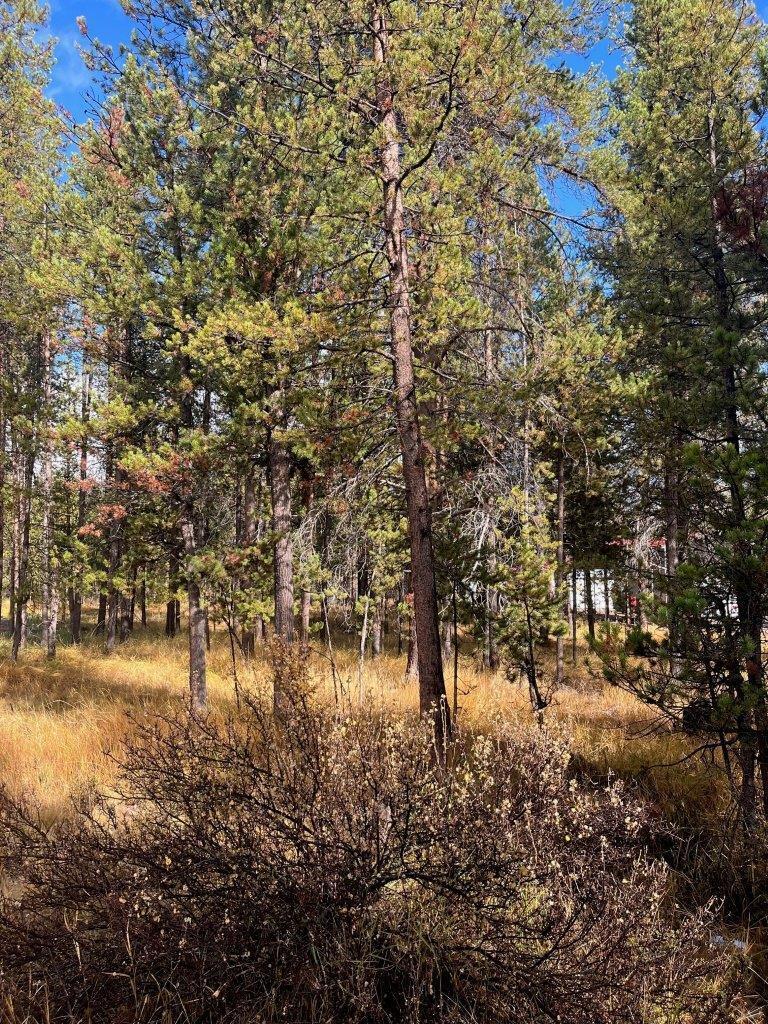 15610 Rim Drive La Pine, OR 97739 - Photo 3 of 9 3