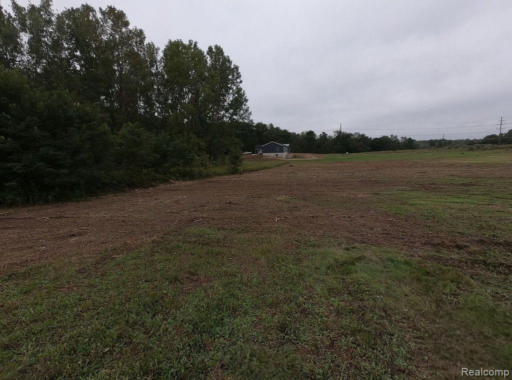0 Pingree Road Howell, MI 48843 - Photo 1 of 6 1.jpg