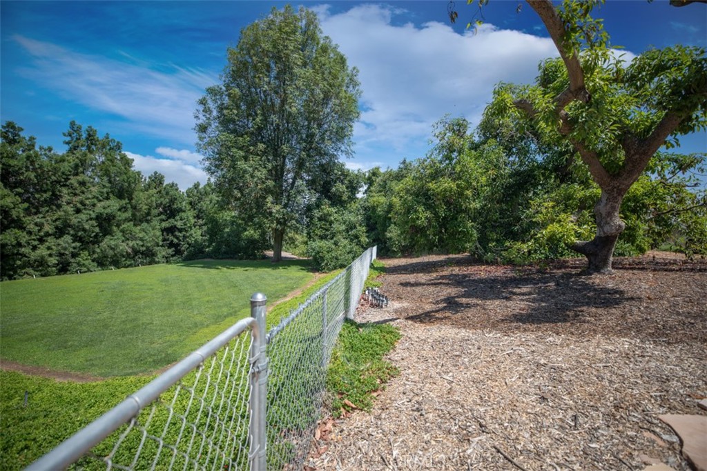 1566 Heather Lane Riverside, CA 92504 - Photo 45 of 61