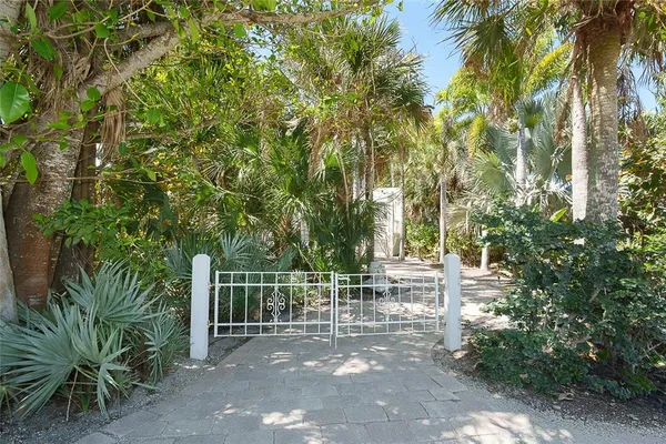 a view of a yard with plants and trees