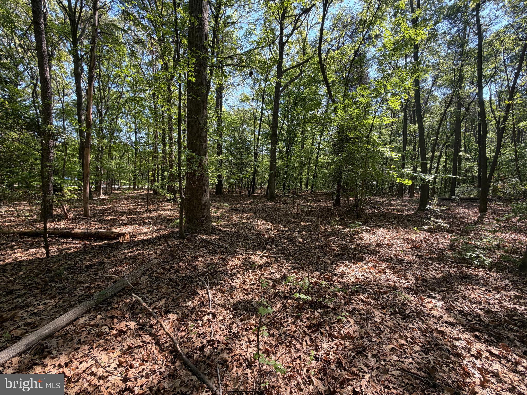 15 Newton Road Preston, MD 21655 - Photo 8 of 20