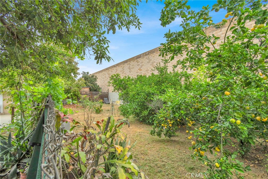 2501 Deodar Street Santa Ana, CA 92705 - Photo 36 of 43 a view of a garden