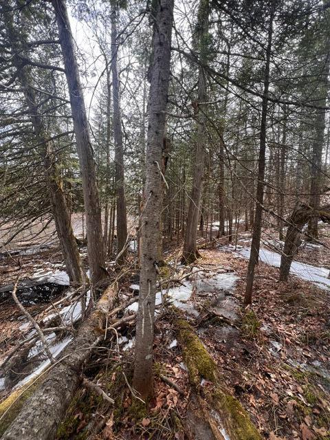 Lot 2 Back Ridge Road Houlton, ME 04730 - Photo 12 of 31 IMG_4485
