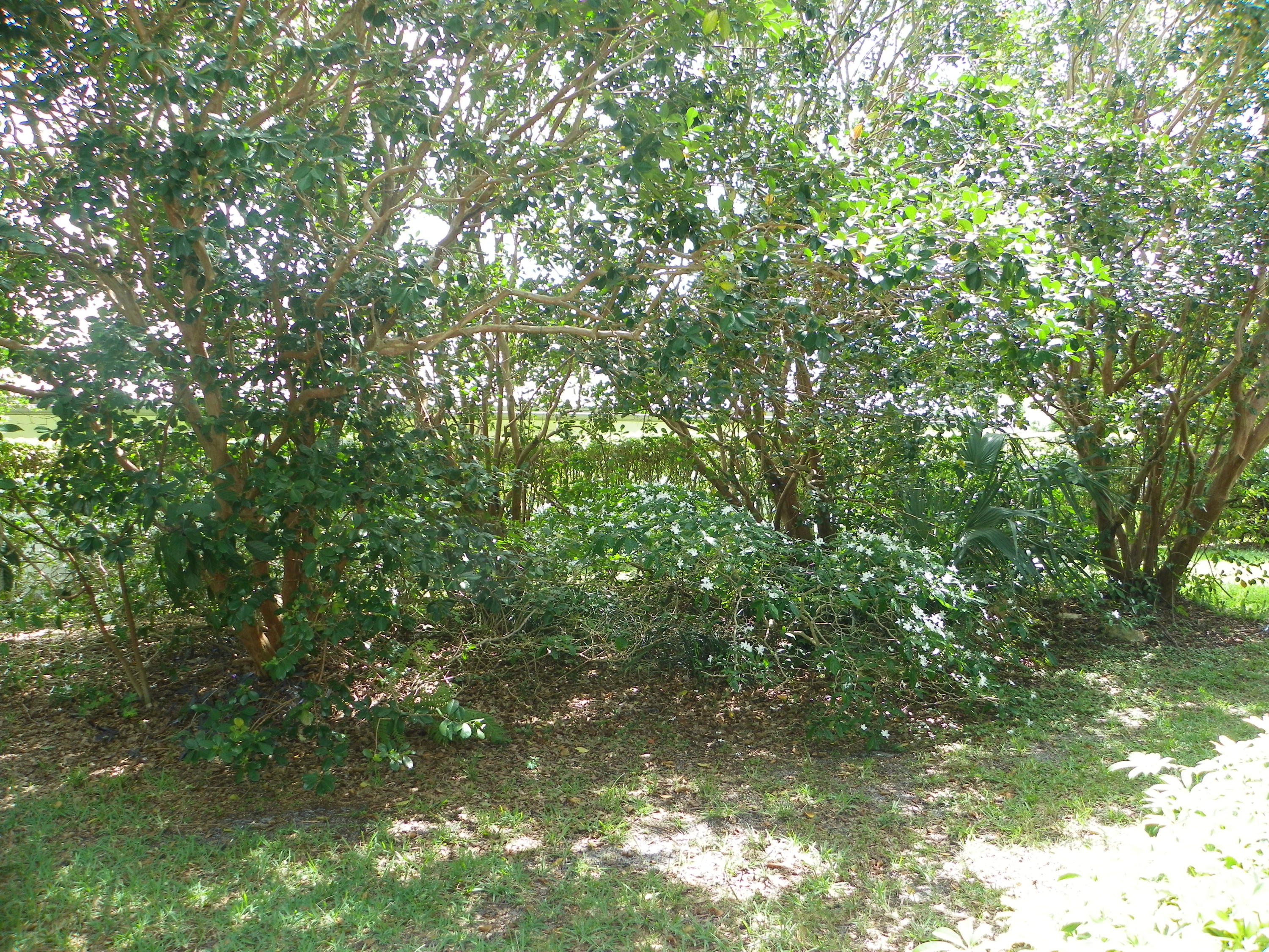 6832 Sun River Road Boynton Beach, FL 33437 - Photo 29 of 37 100_0324