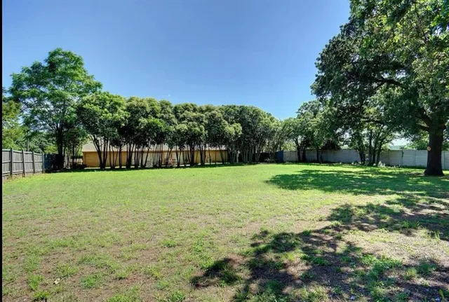 a view of a park with large trees