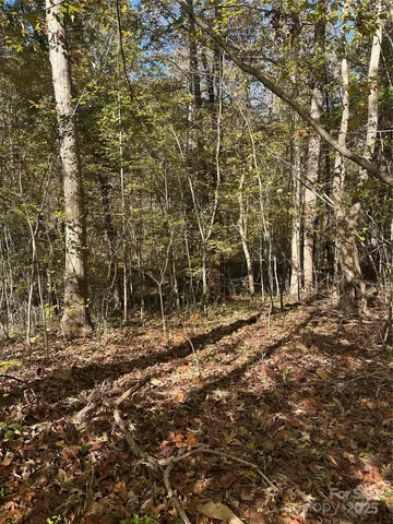a view of a yard with large trees
