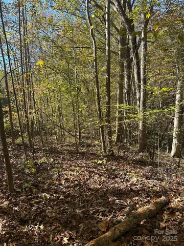 $50,000 | 2298 Wildwood Drive, York, SC 29745