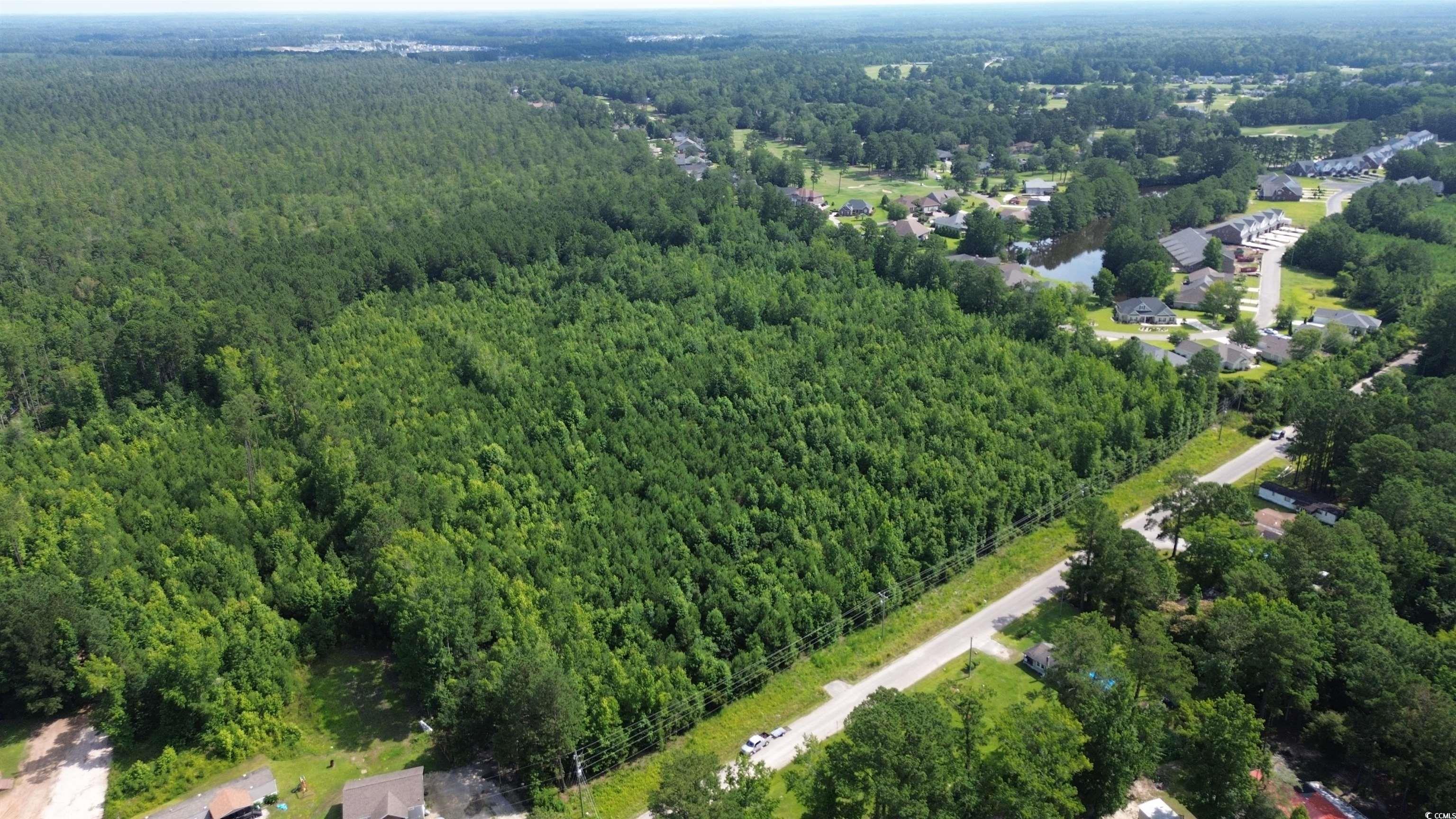 Tbd Elbow Road Longs, SC 29568 - Photo 8 of 14 View of property location featuring a heavily wooded area
