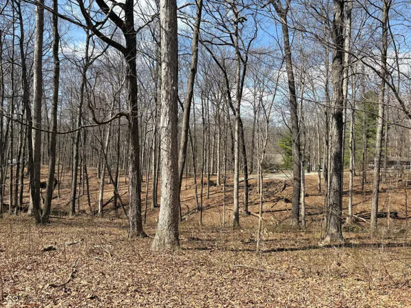 $21,000 | 0 Beaver Drive, Nineveh, IN 46164