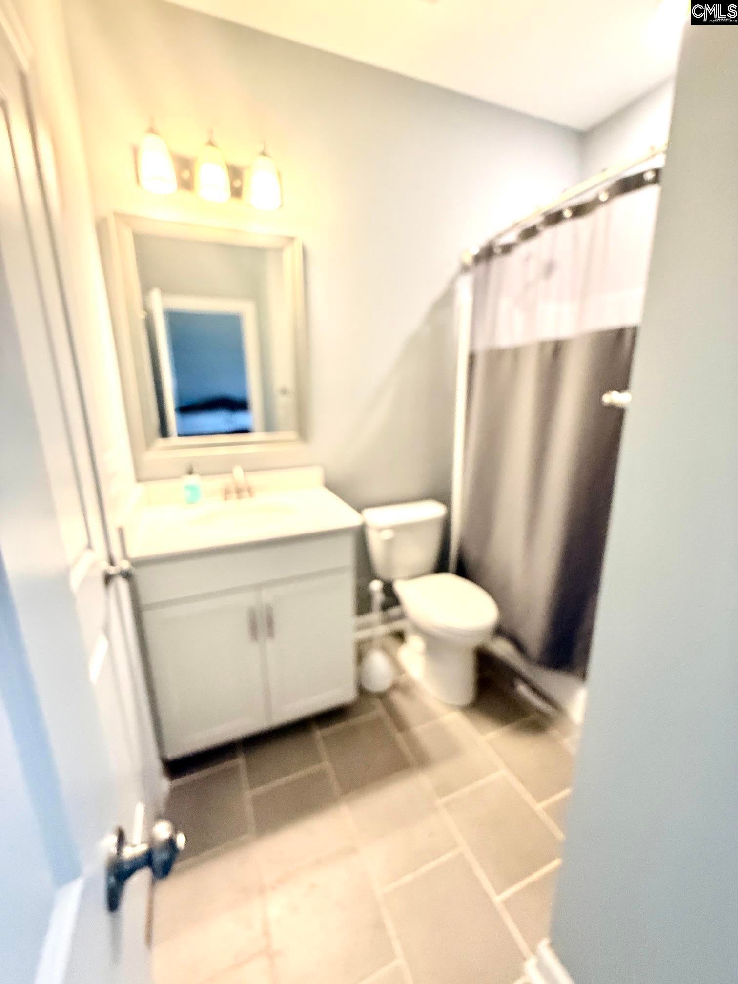 525 Malachite Lane Chapin, SC 29036 - Photo 16 of 37 Gallery Image 16
