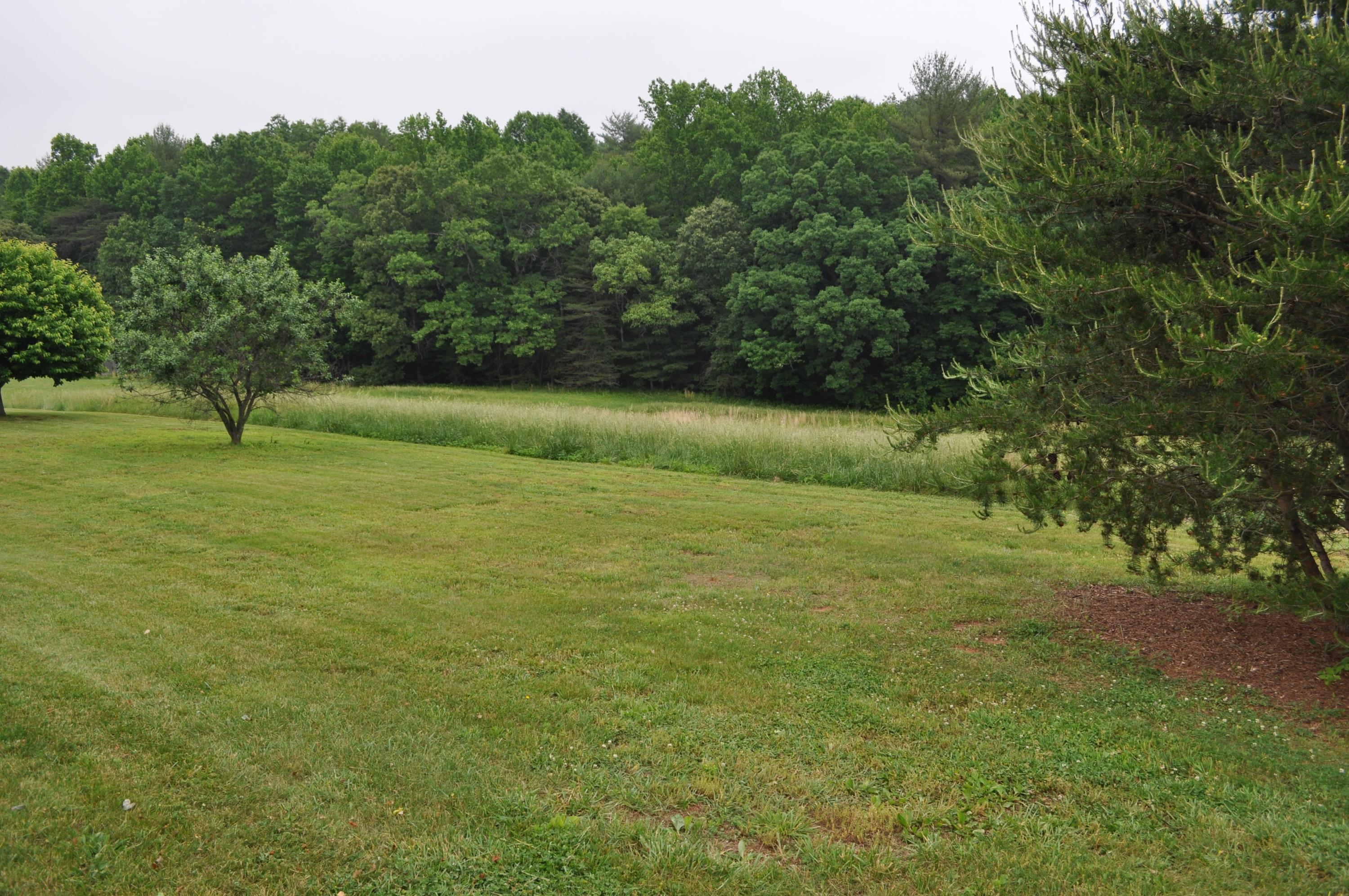 560 Antioch Road Rocky Mount, VA 24151 - Photo 18 of 18 Back Yard