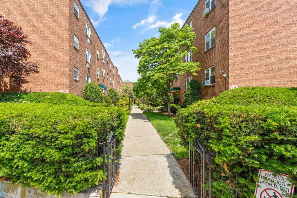 45 Colborne Road, Unit 6 Boston, MA 02135 - Photo 4 of 21 Gallery Image 4