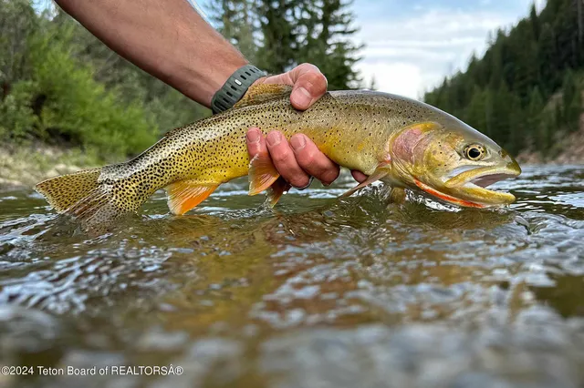 $65,000,000 | 15400 Gros Ventre Road, Moose, WY 83012