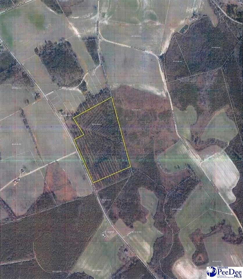 Tbd Oliver Road Hamer, SC 29547 - Photo 1 of 2 Gallery Image 1