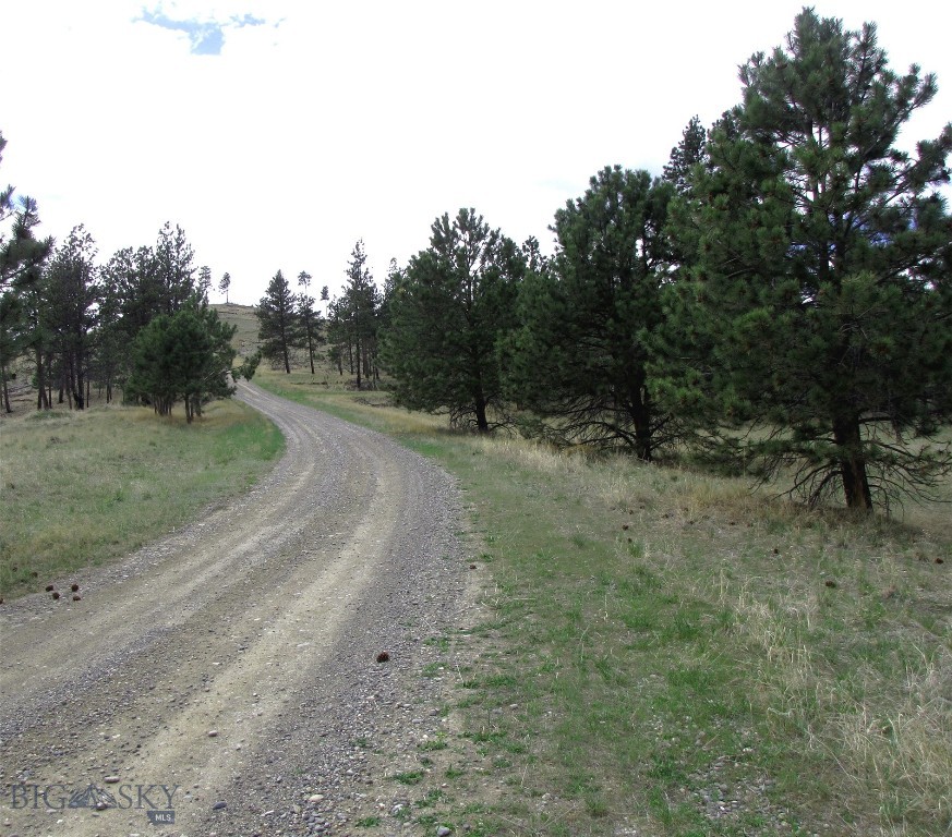 Tbd Tbd Wild Turkey Ridge Road Columbus, MT 59019 - Photo 12 of 55 Gallery Image 12