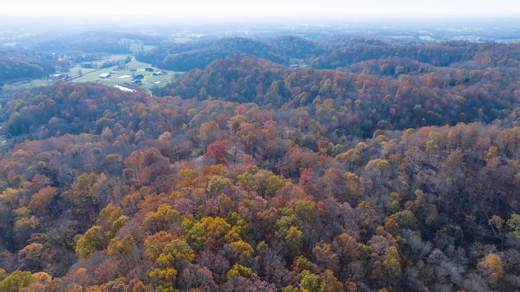 0 Brazier Lane Gallatin, TN 37066 - Photo 12 of 13
