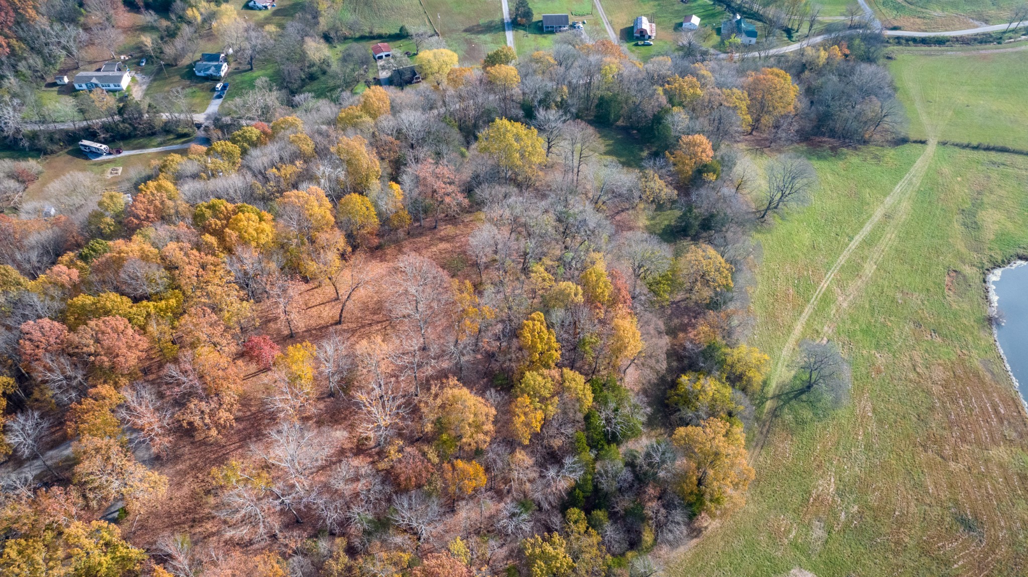 0 Brazier Lane Gallatin, TN 37066 - Photo 6 of 13